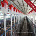 Pig Farm Use Auto Feeding System Livestock Automatic Feeder